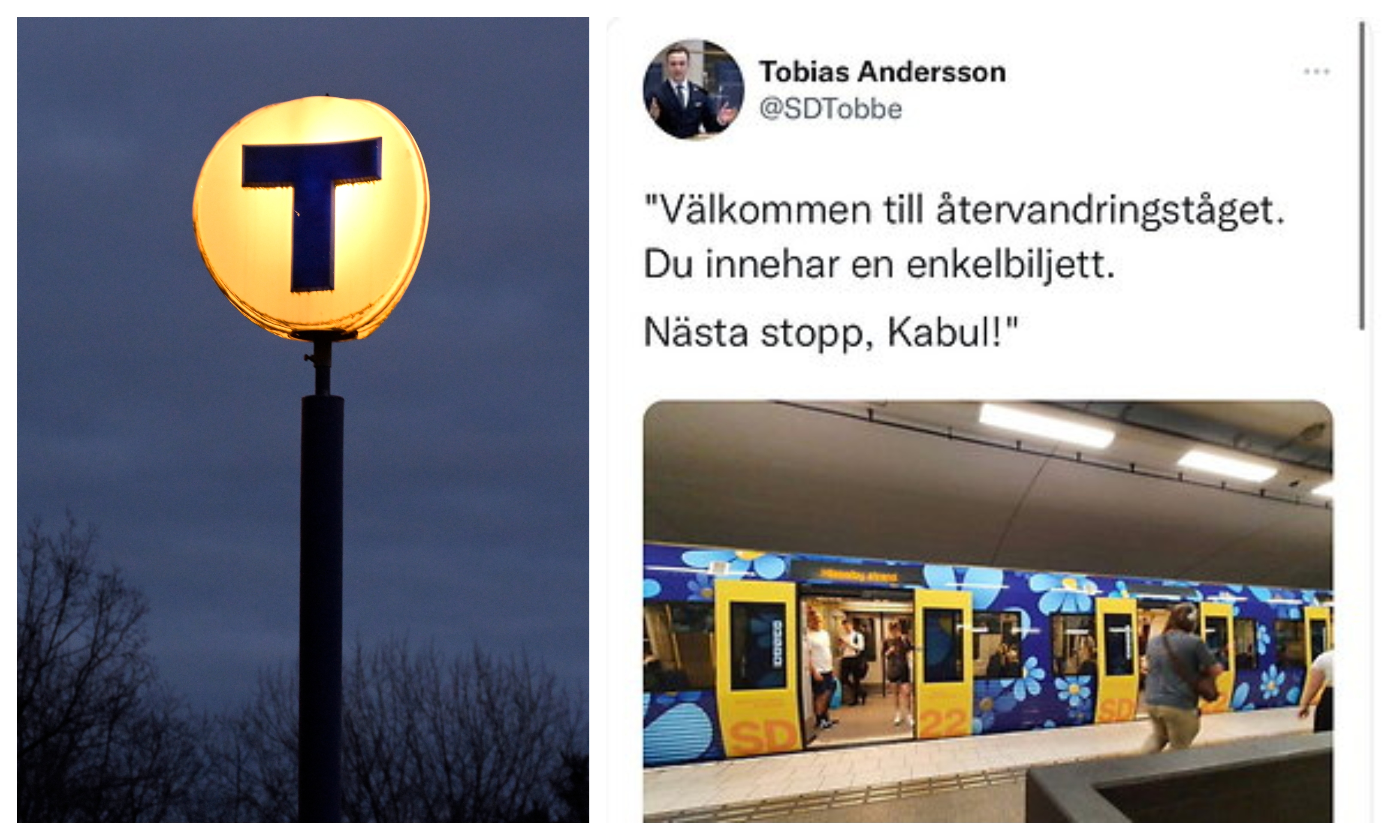 Sverigedemokraterna, TT, Valet 2022